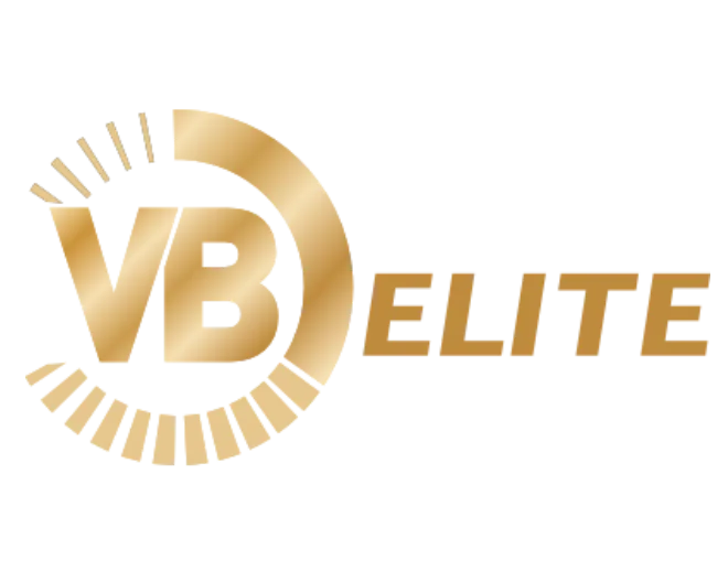 VB ELITE Logo